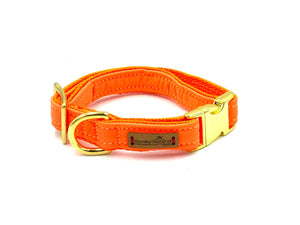 Bild in Slideshow öffnen, Softshell Halsband - Neon Orange
